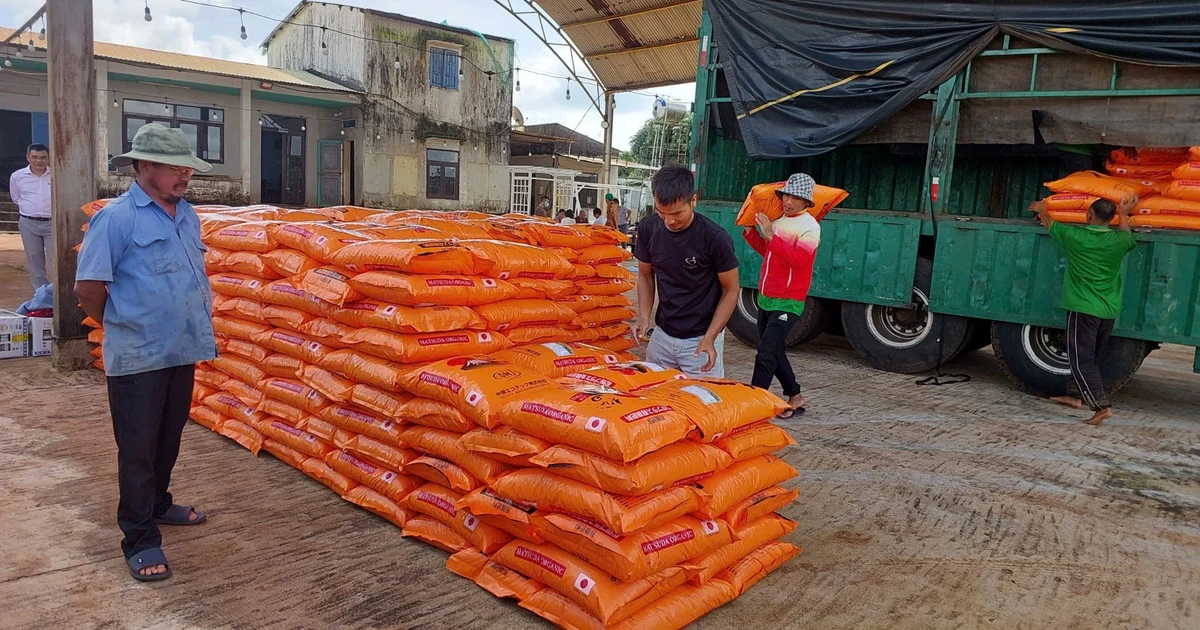 Gia Lai: គាំទ្រជីអតិសុខុមប្រាណសរីរាង្គ 30 តោនសម្រាប់ផលិតកម្មកាហ្វេសរីរាង្គ