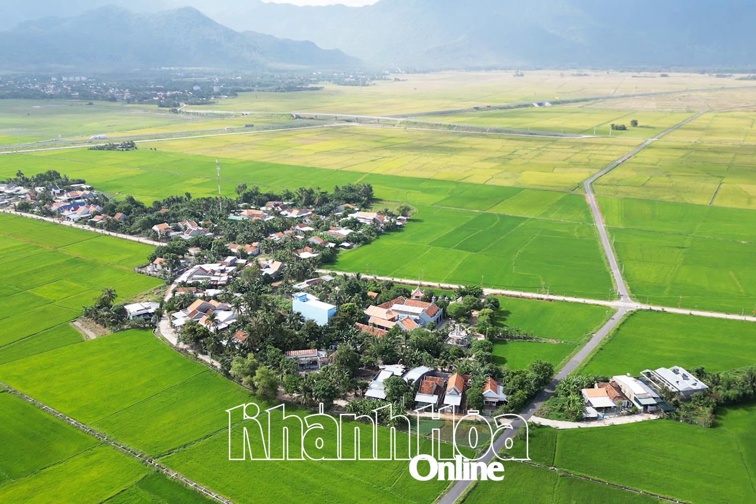 ភូមិ Vinh Hue (ឃុំ Van Ninh) មានសន្តិភាព ក្នុងចំណោមវាលស្រែបៃតង។