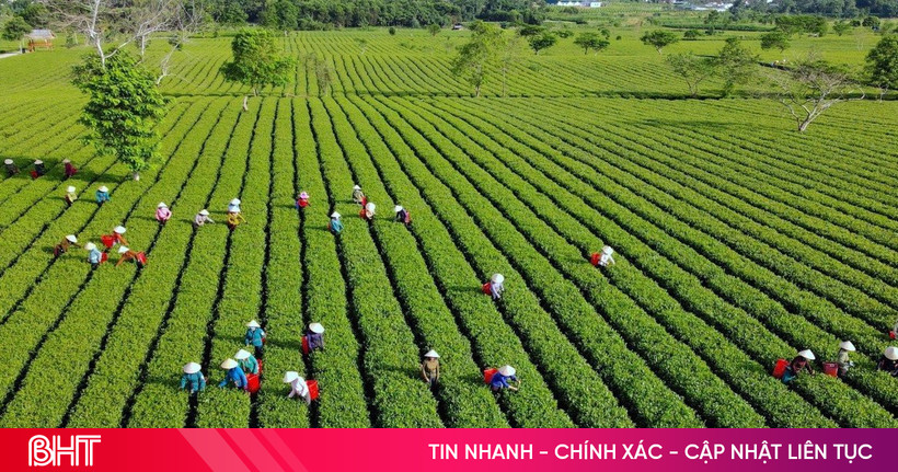 ADB mong muốn xây dựng mô hình du lịch "chữa lành" tại Hà Tĩnh