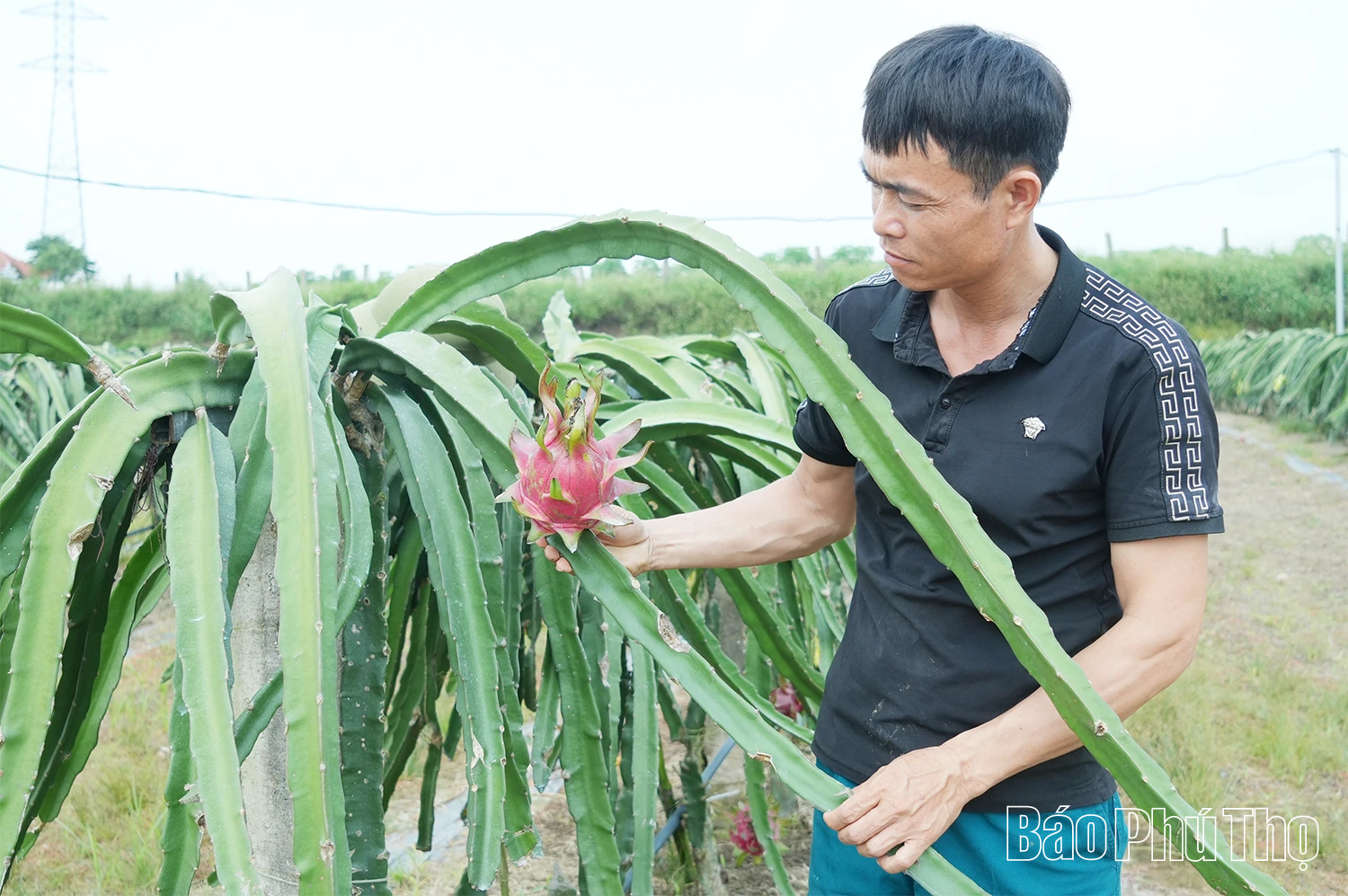 ការផ្លាស់ប្តូរជាវិជ្ជមានក្នុងផលិតកម្មកសិកម្ម