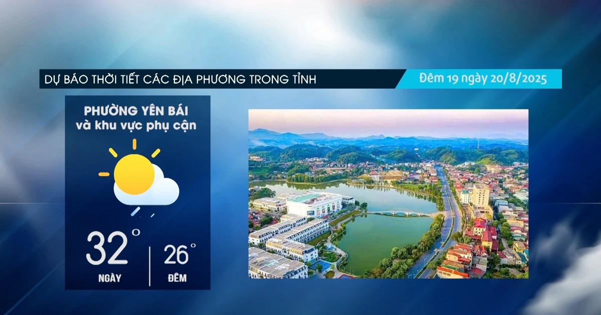 Vùng núi có mưa vừa, có nơi mưa to