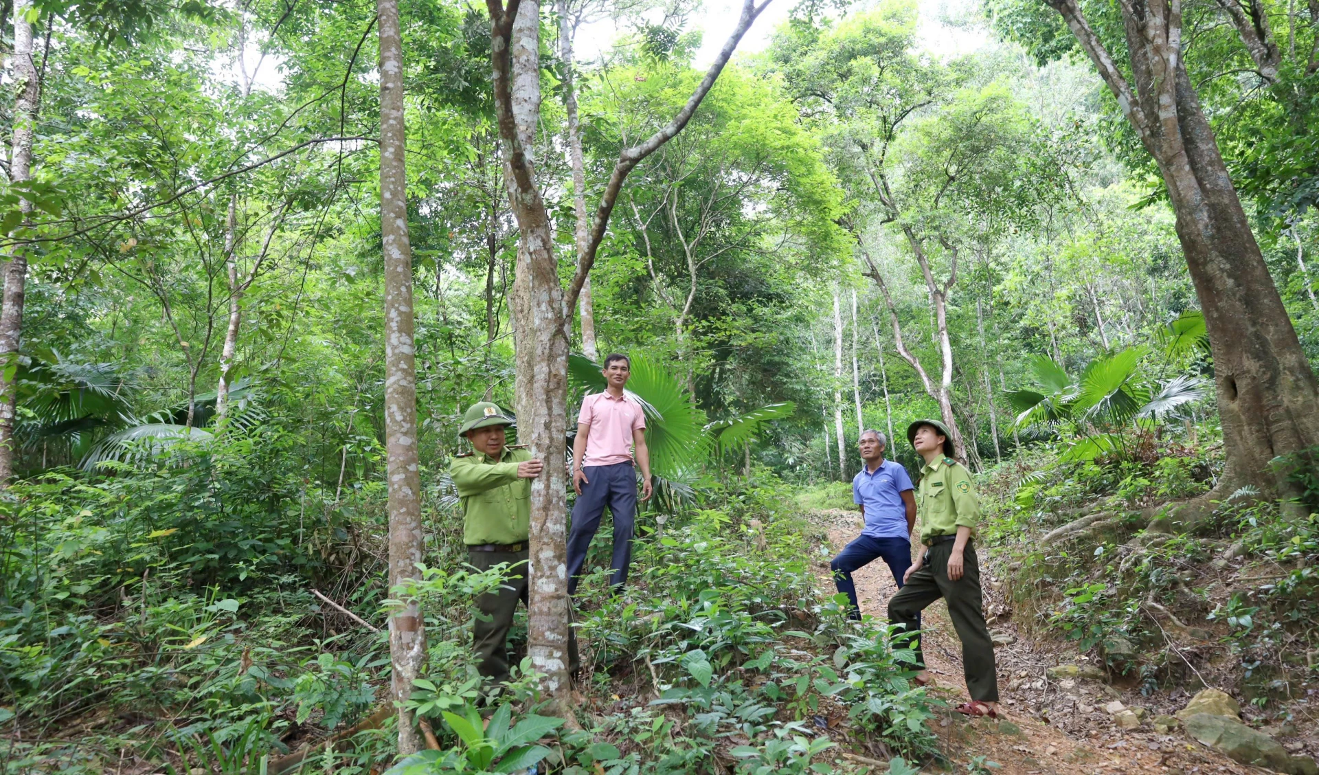 Thanks to financial support from ERPA, the community of Ong Tu village, Dan Hoa commune has new motivation to effectively preserve natural forests - Photo: V.M