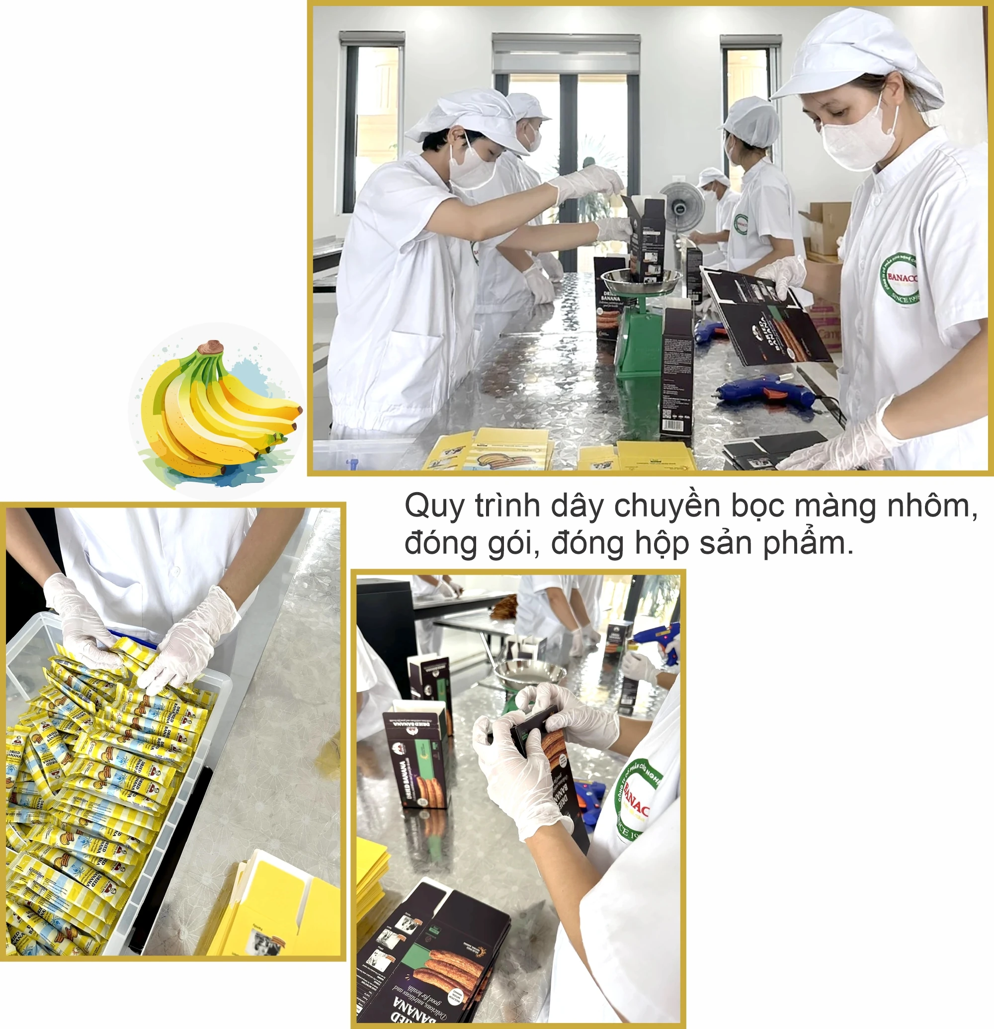 Exportation de bananes séchées...