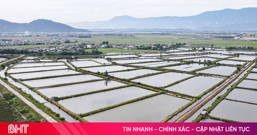 Khẩn thiết nâng cấp hạ tầng nuôi trồng thủy sản ở Kỳ Khang và Hải Ninh