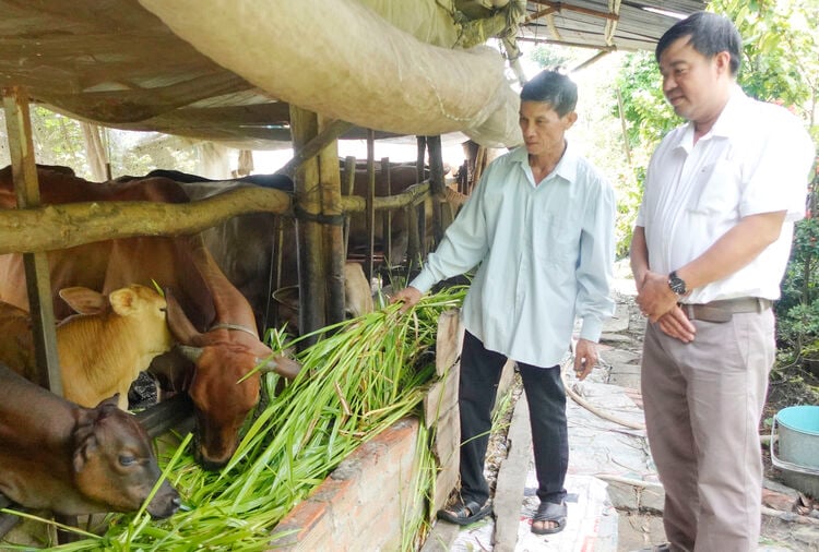 Phát huy nội lực, Thạnh Hưng bứt phá