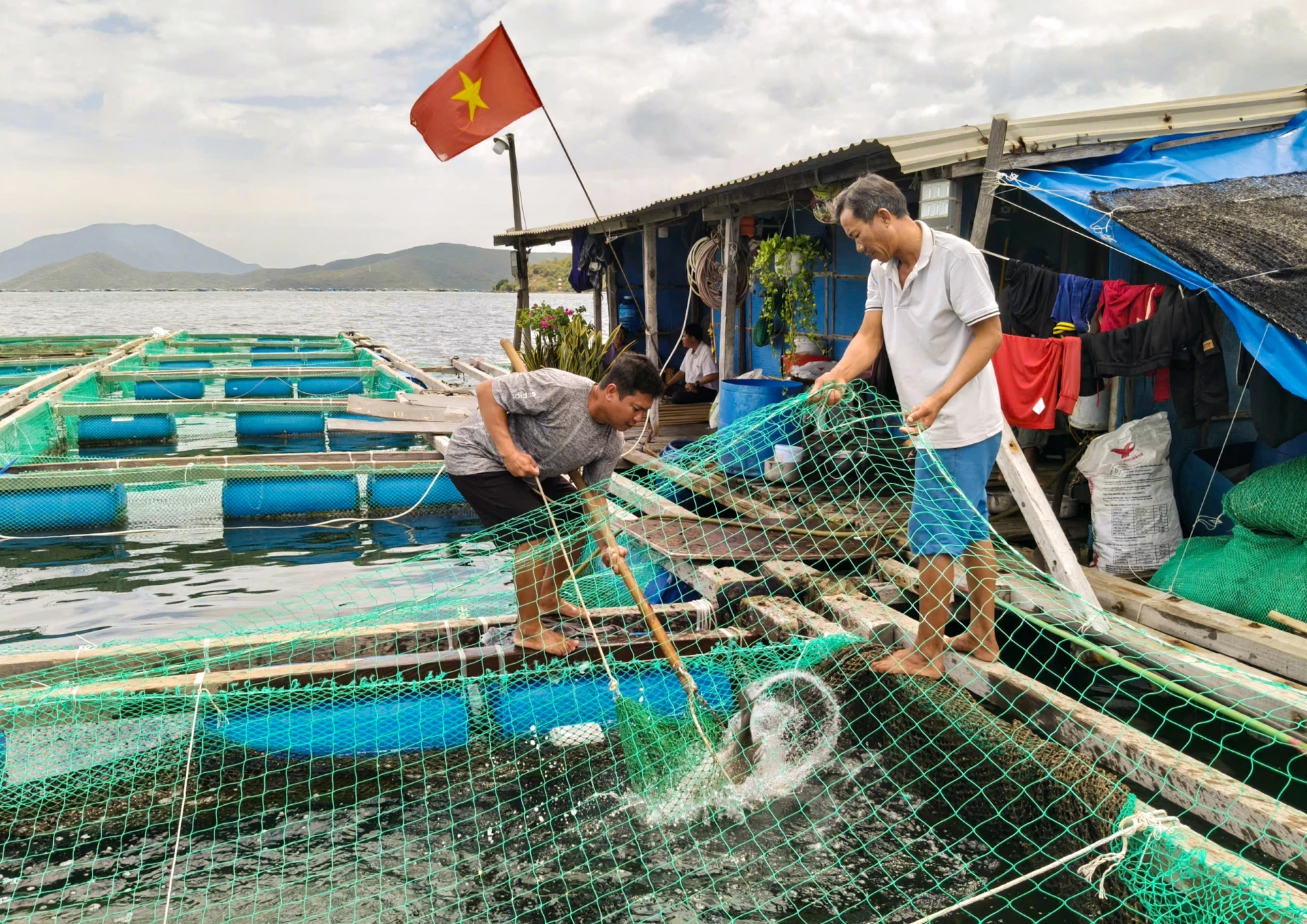 Nông nghiệp Khánh Hòa: Nhiều điểm sáng trong sản xuất công nghệ cao và nuôi biển