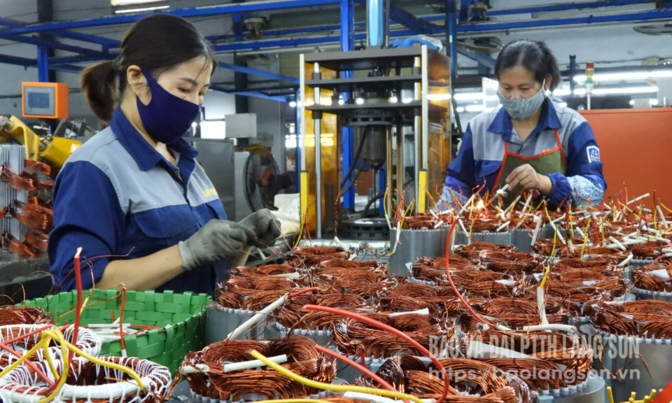 Trụ cột kinh tế tư nhân