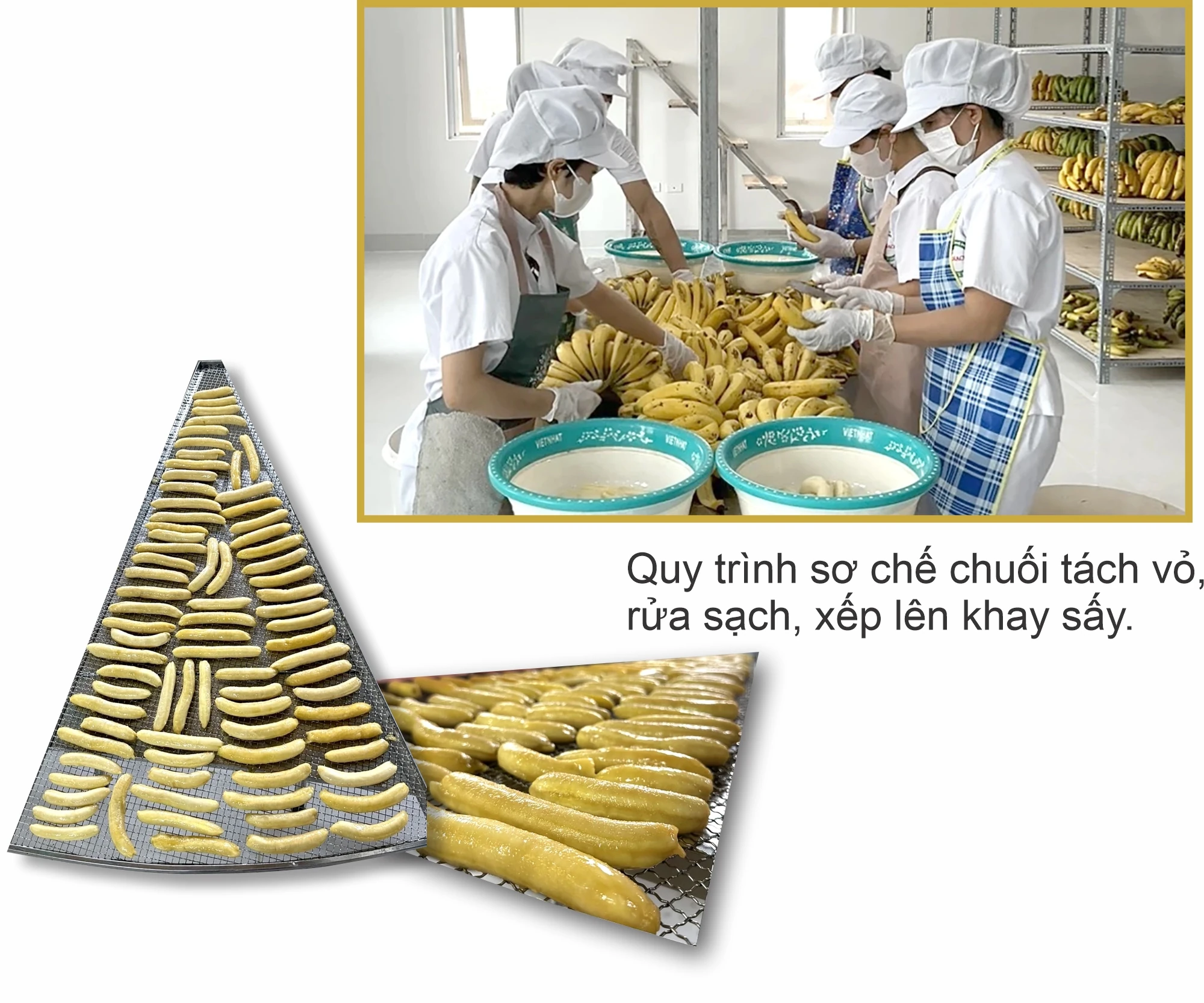 Exportation de bananes séchées...
