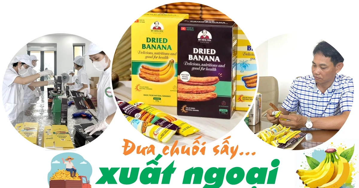 Exporting dried bananas...