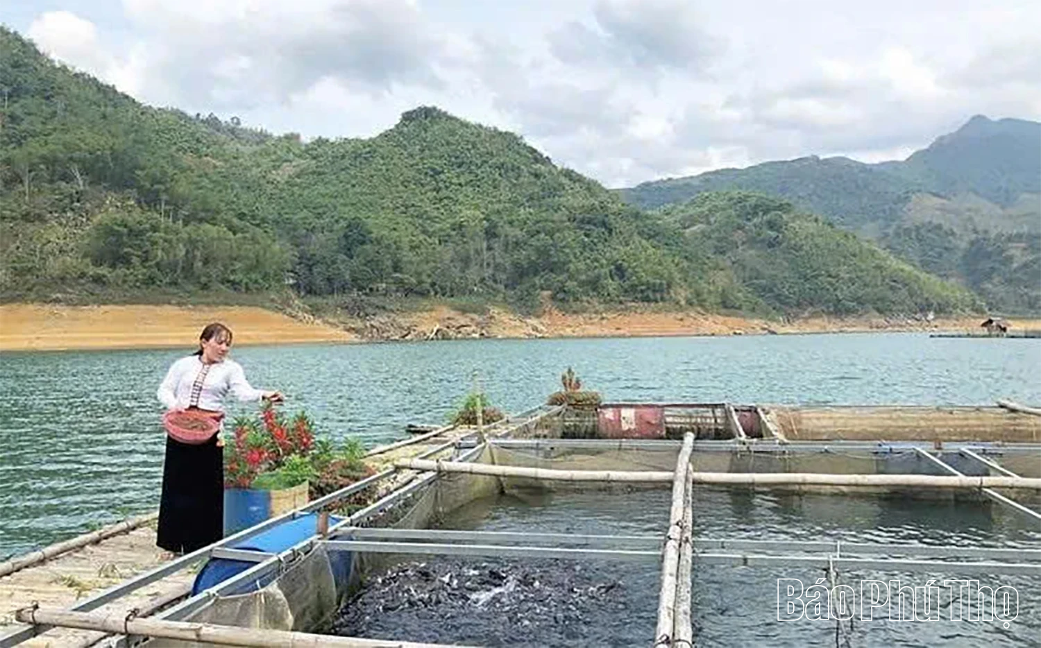 La commune de Tien Phong surmonte les difficultés pour développer son économie