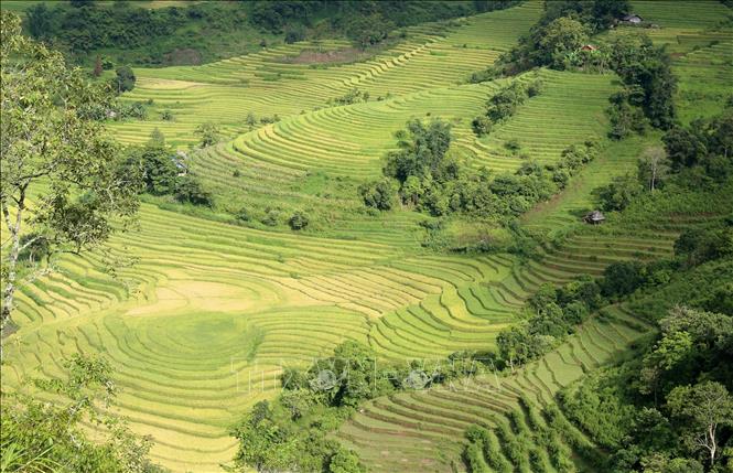 Lào Cai: Nhiều điểm 'chạm' hấp dẫn du khách đến Sa Pa dịp Quốc khánh - Ảnh 2.