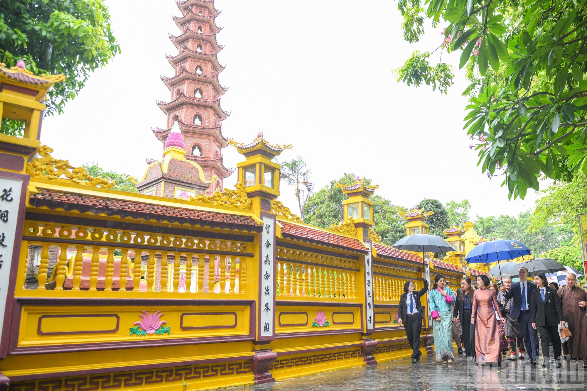 ndo_br_phu-nhan-3127.jpg