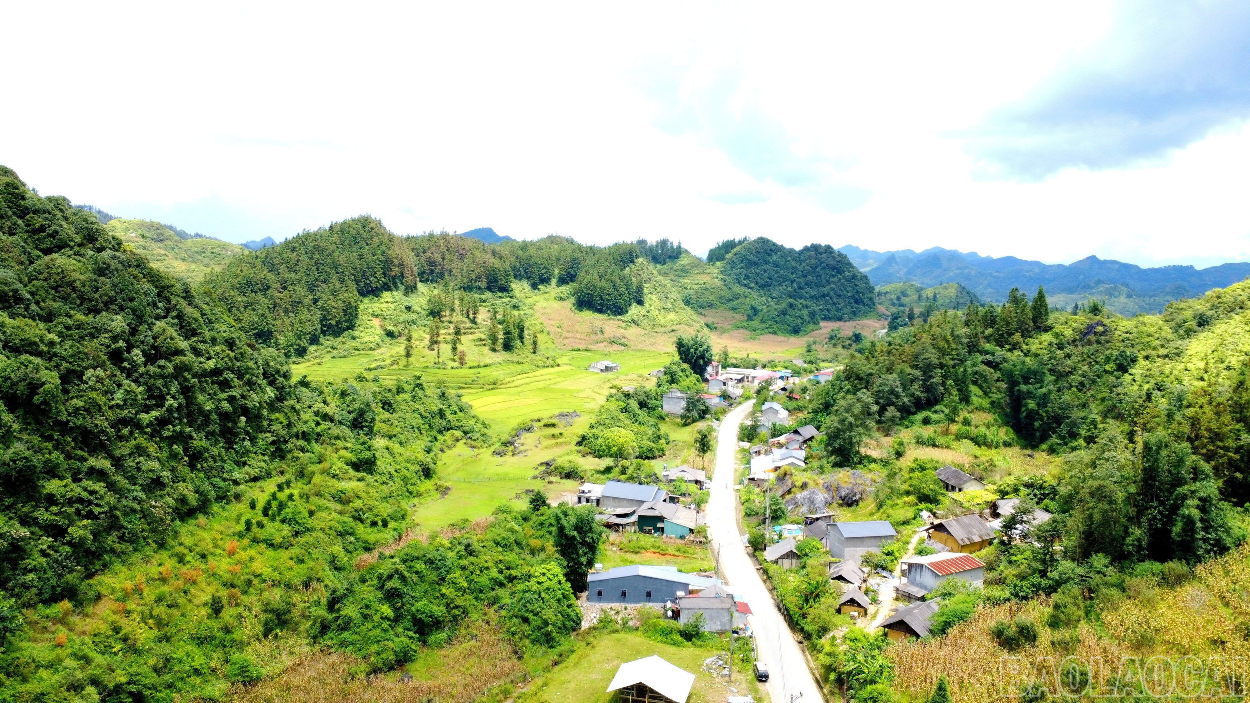 baolaocai-br_img-20250818-212713.jpg