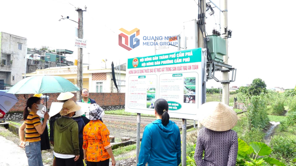 The People's Committee of Cam Phu Ward (now Cua Ong Ward) installed a billboard instructing members on how to use pesticides. Photo: Nguyen Ngoc