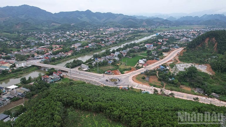 ndo_br_anh-2.jpg
