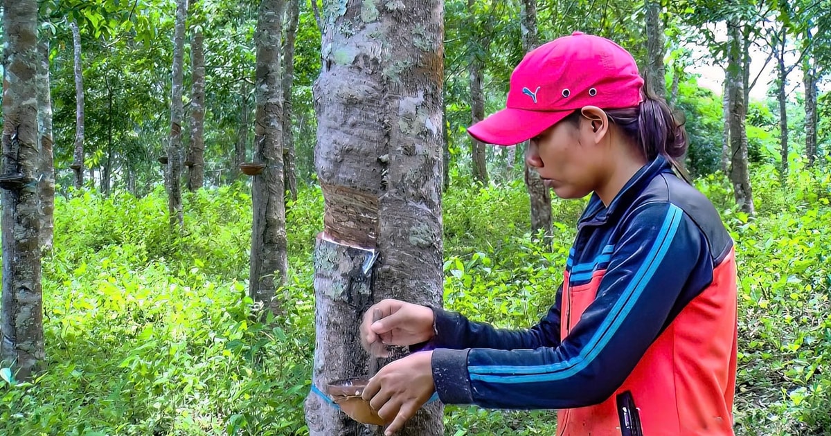 Sức sống mới ở vùng đồng bào dân tộc thiểu số Đông Nam tỉnh