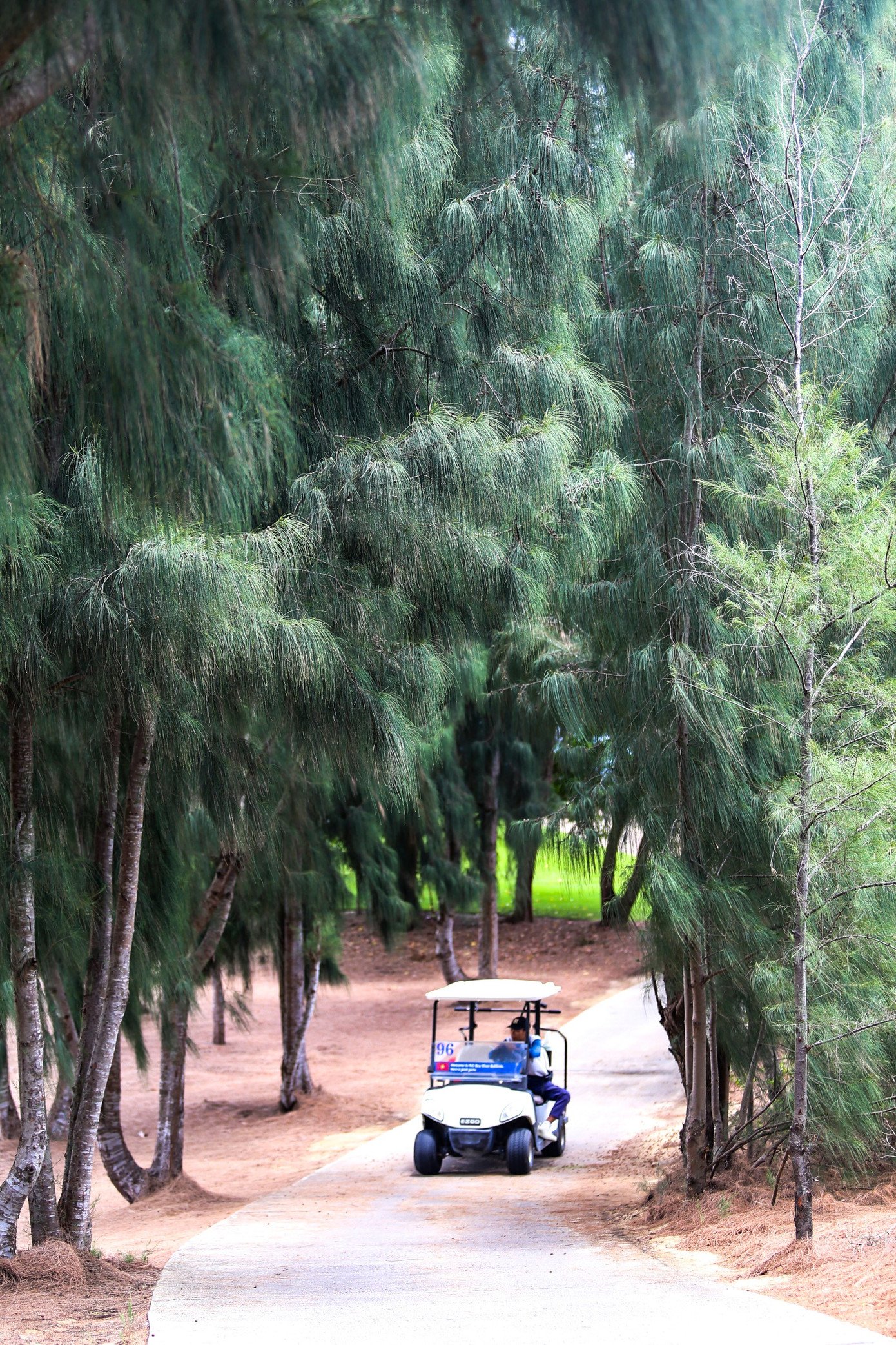img-1177.jpg