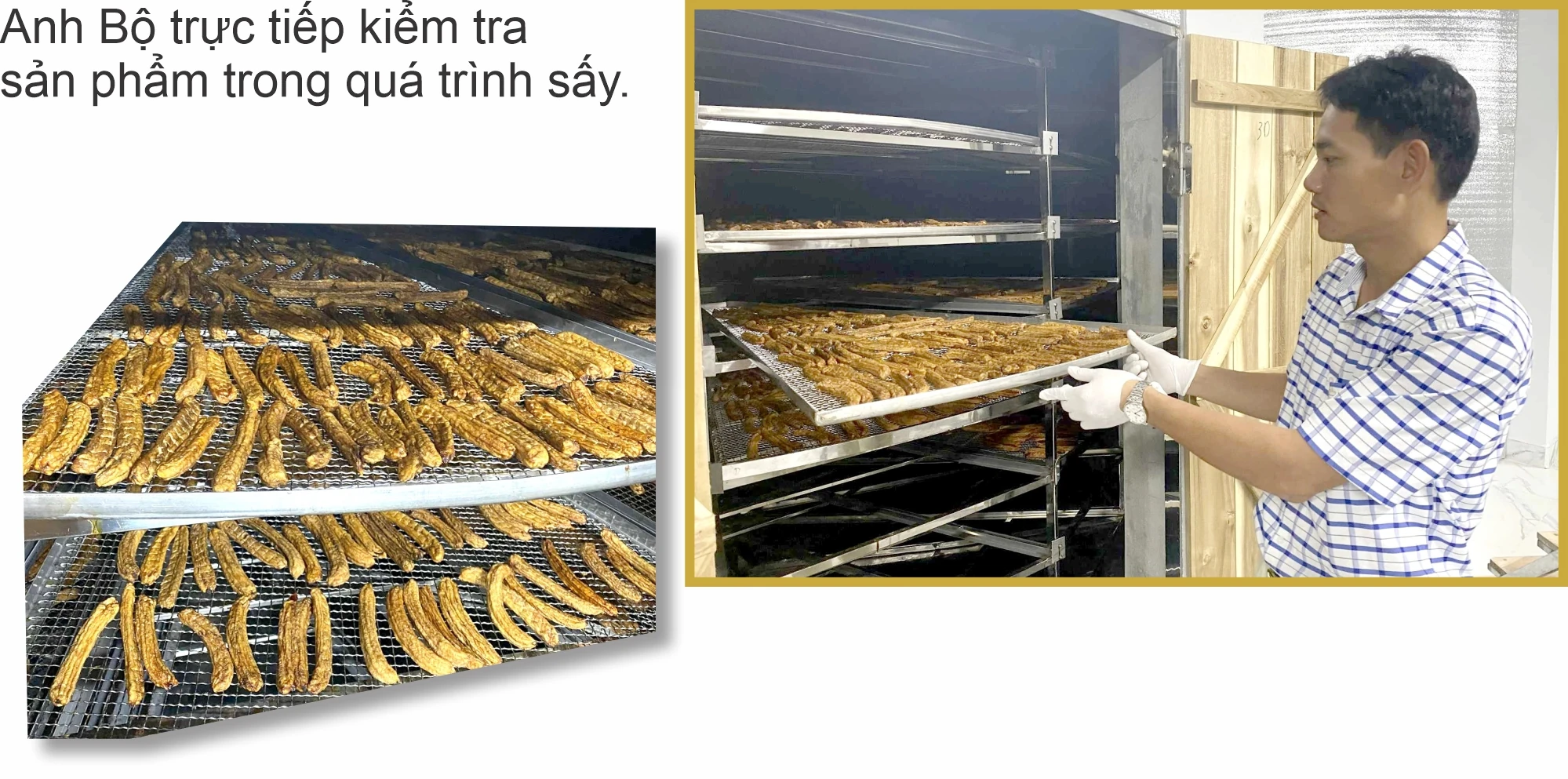 Exportation de bananes séchées...