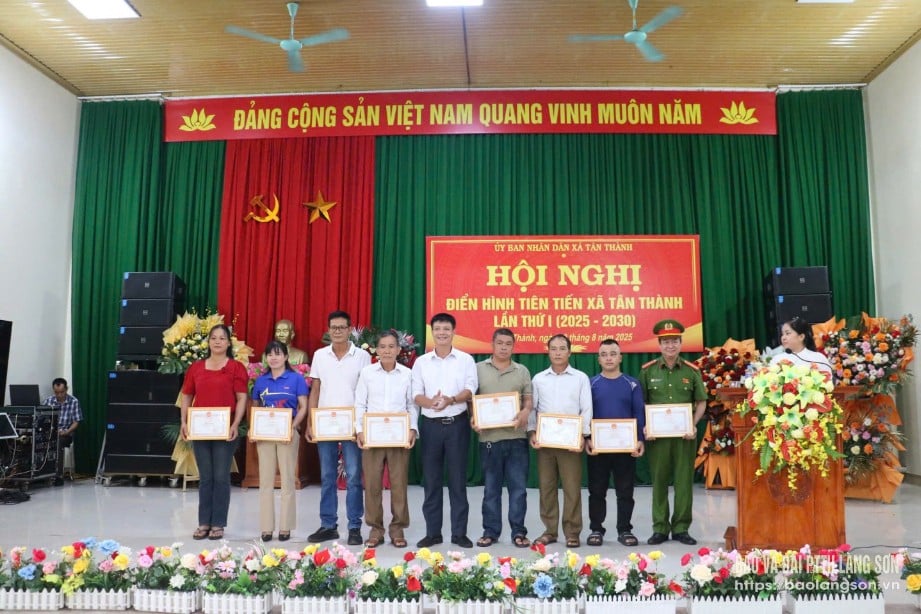 Auf der Konferenz erhielten Einzelpersonen vom Vorsitzenden des Volkskomitees der Gemeinde Tan Thanh Verdiensturkunden.