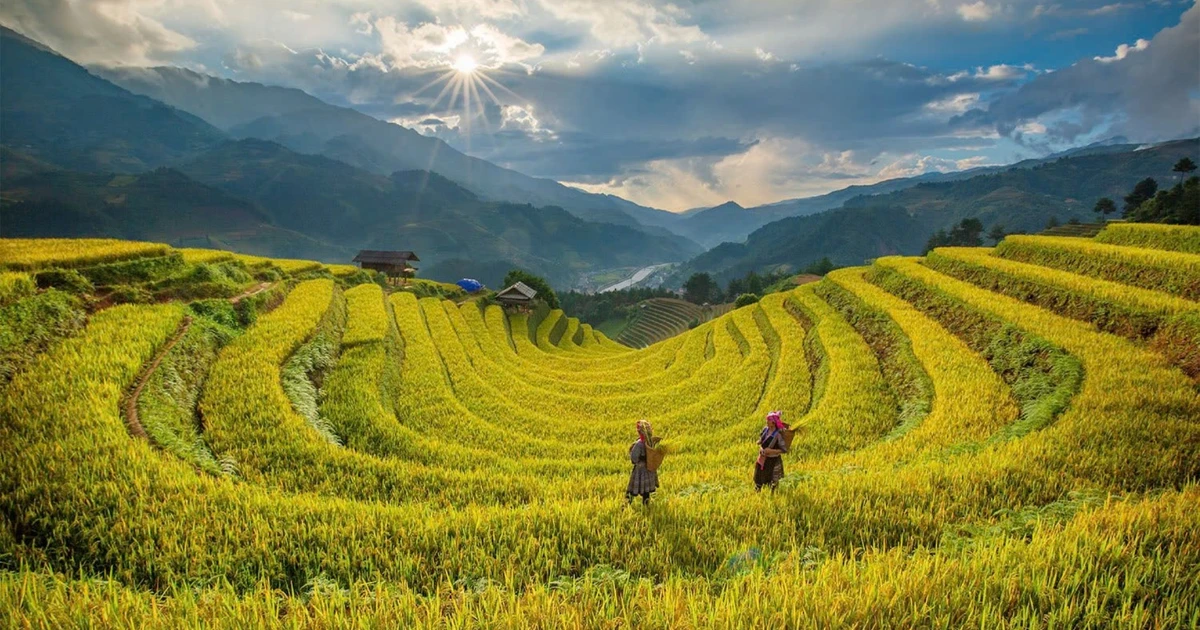 Vẻ đẹp ruộng bậc thang Lào Cai