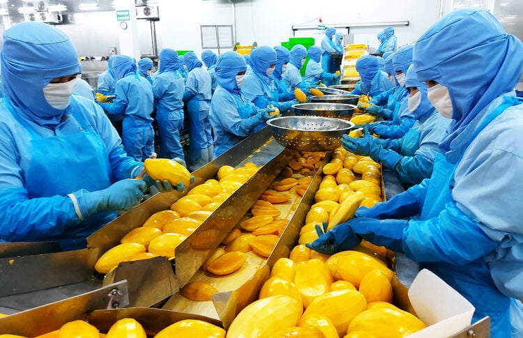 An Giang giải bài toán tăng trưởng 2 con số