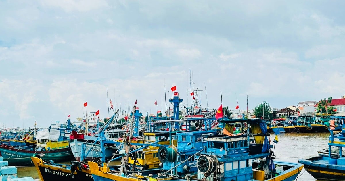 Phan Thiet Ward creates favorable momentum to complete key tasks