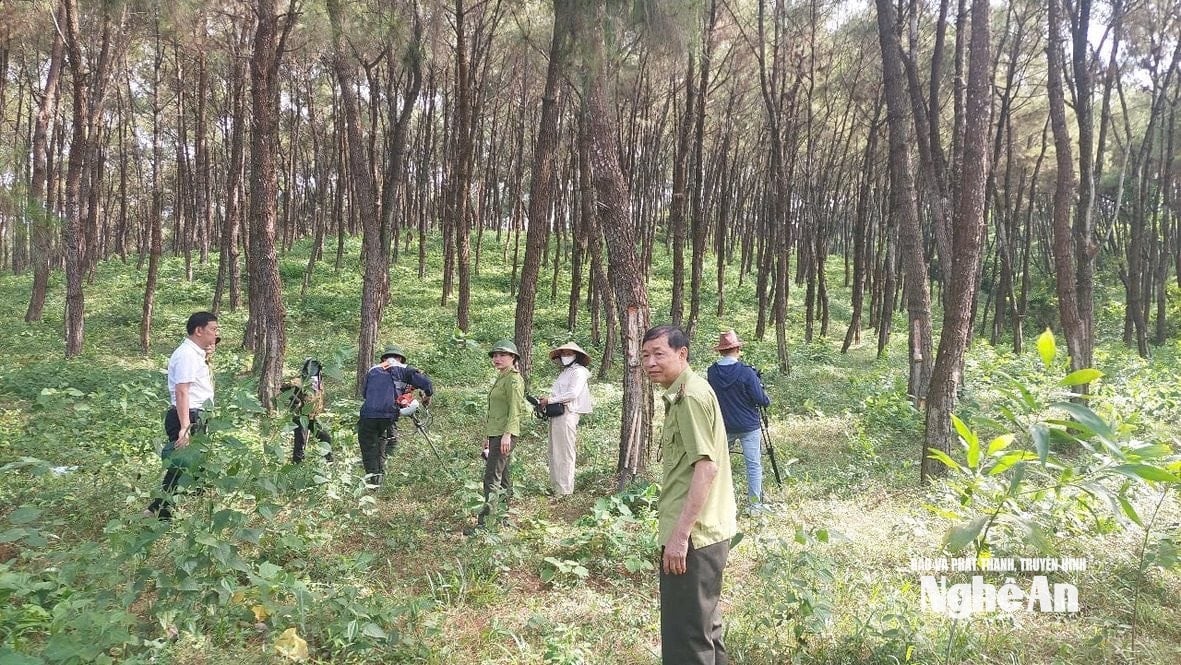 សាលា ២