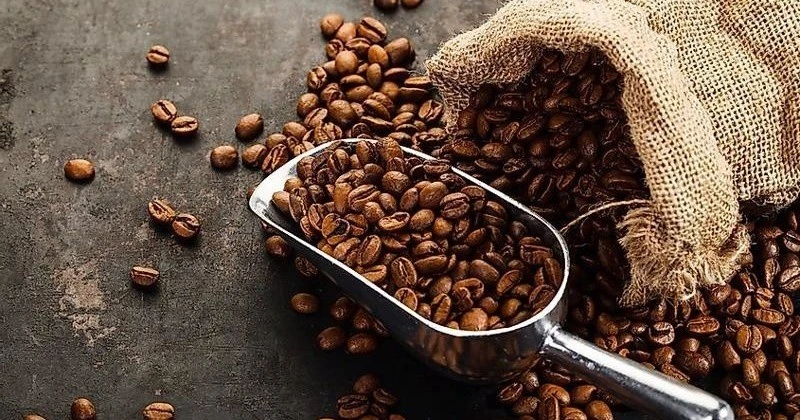 Tăng 300 đồng/kg, cà phê hôm nay cao nhất ở mức 117.800 đồng