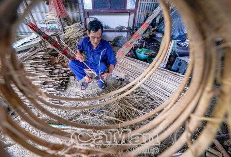 Bamboo weaving in U Minh Ha forest
