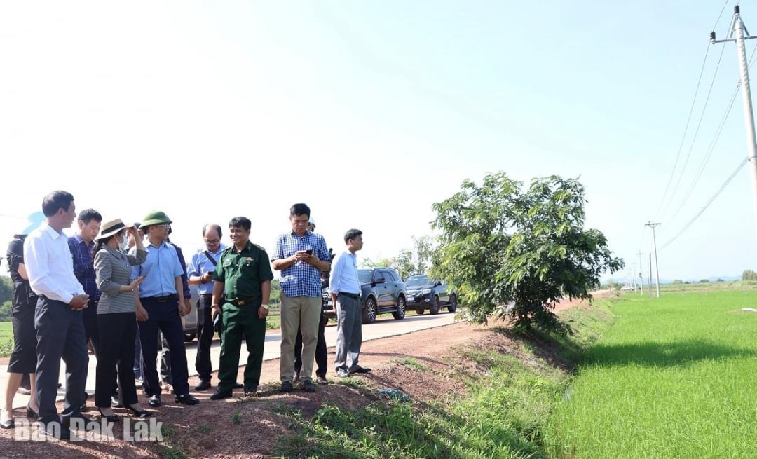 The delegation surveyed the proposed location for the construction of a new primary and secondary boarding school in Ea Bung commune.