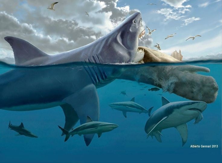 1. Là loài cá mập lớn nhất từng được biết đến. Megalodon có thể dài tới 18 mét và nặng hơn 50 tấn, to gấp nhiều lần cá mập trắng lớn hiện đại, khiến nó trở thành quái vật đại dương thực sự. Ảnh: Pinterest.