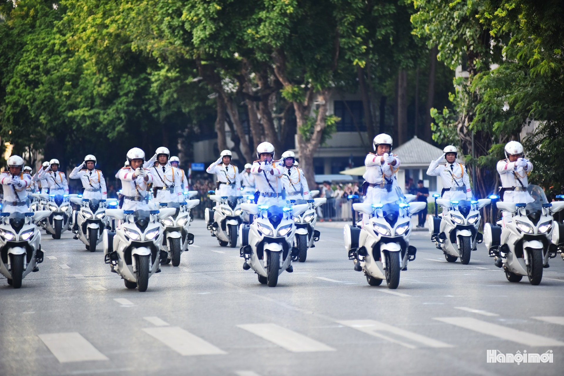 W_hnm-cand-01.jpg