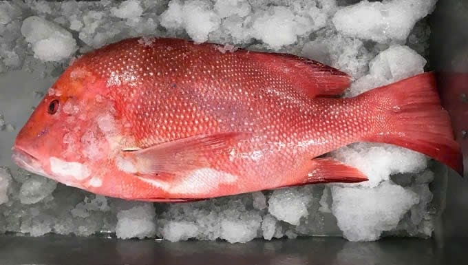 Sau bữa ăn hải sản, 8 người trong hai gia đình phải cấp cứu -0