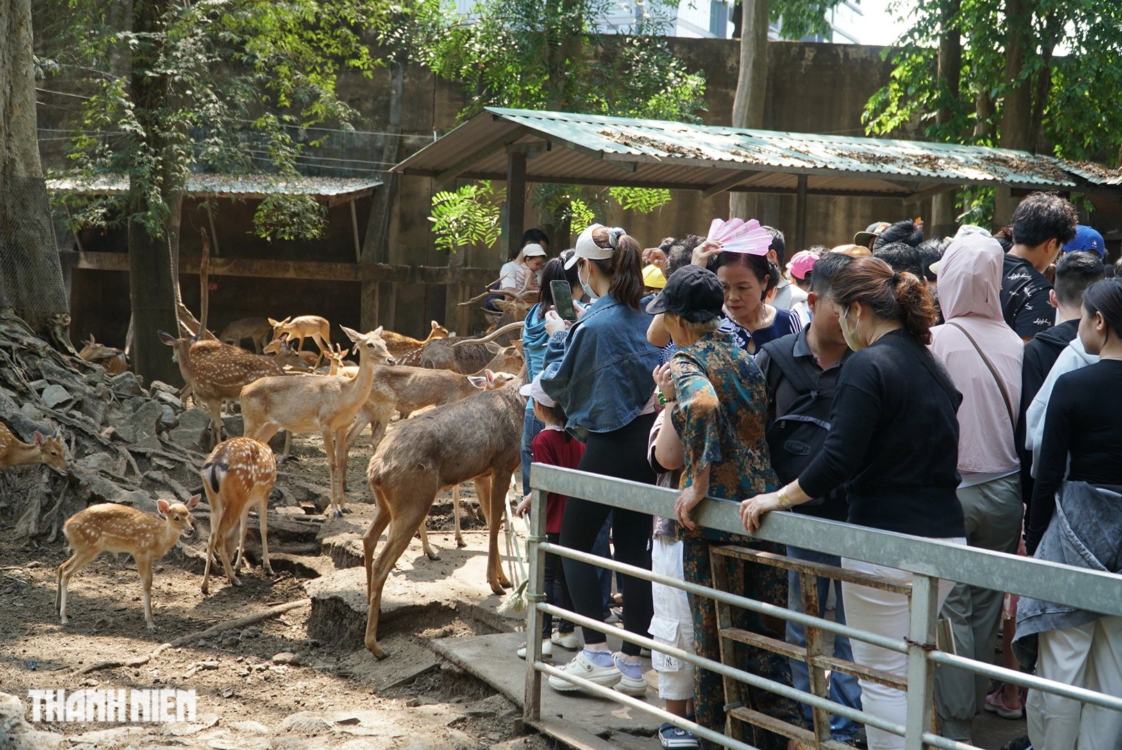 Hàng ngàn người ‘chen chân’ đến Thảo Cầm Viên trong ngày giỗ tổ Hùng Vương - Ảnh 8.