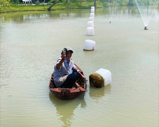 Về Đồng Tháp du lịch và trải nghiệm lấy ngọc trai- Ảnh 1.