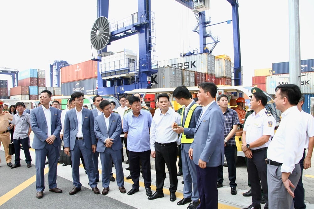 Chairman of the City People's Committee Le Ngoc Chau and leaders of functional departments inspected the field activities at Wharf No. 5 and No. 6 of Lach Huyen Port Area.