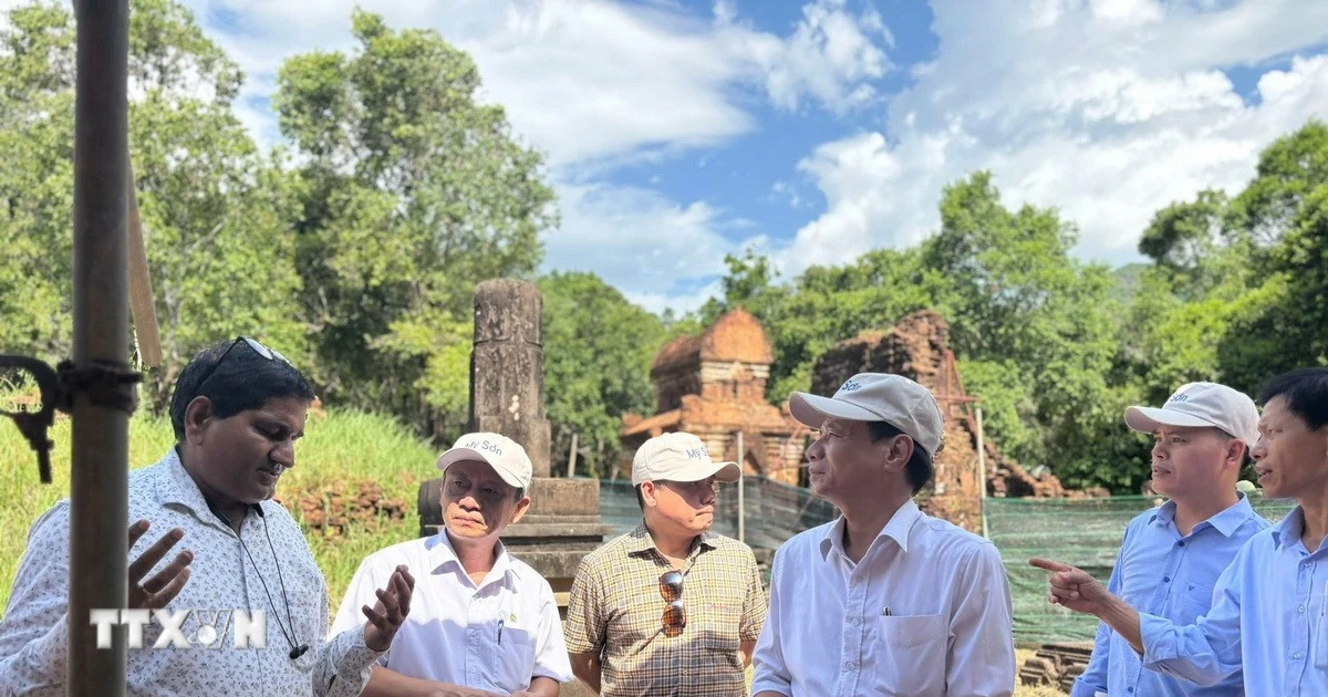 Sustainable exploitation of the L tower group in the My Son World Cultural Heritage complex