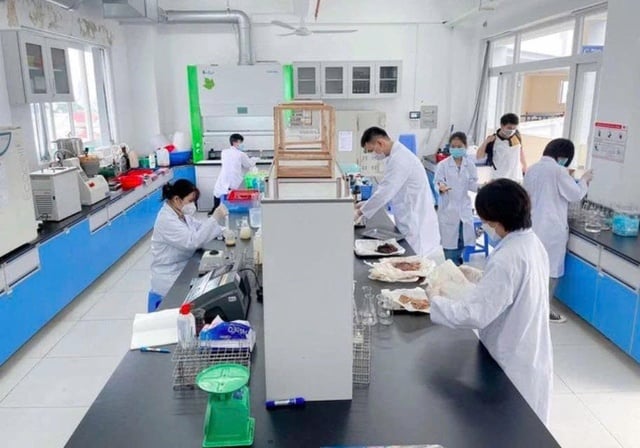Trường ĐH tuyển tiến sĩ với lương cao, nhiều đãi ngộ - Ảnh 2.