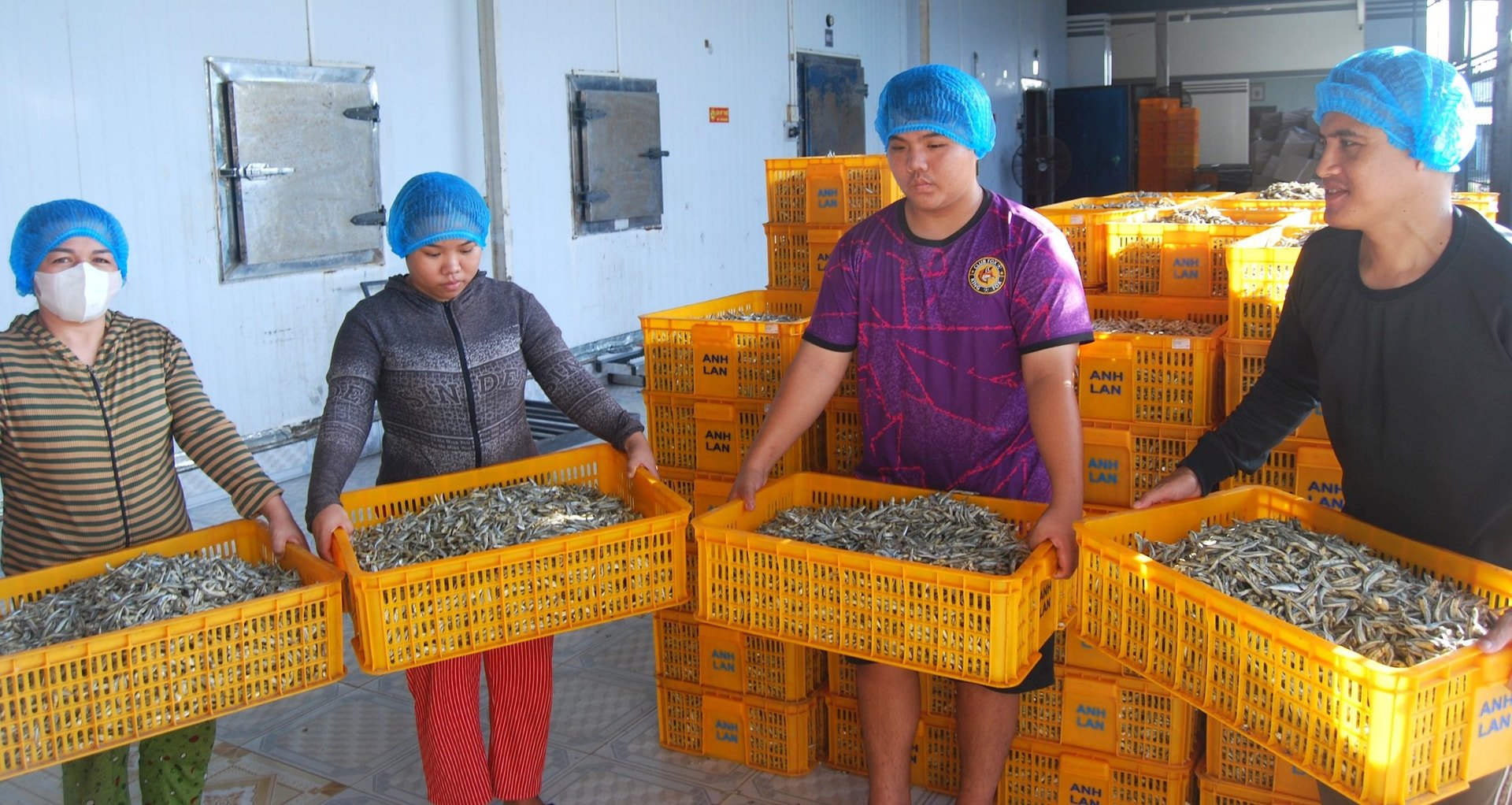 Cơ sở thu mua, chế biến cá cơm Anh Lan (phường Mũi Né), thành viên của Hợp tác xã Dịch vụ sản xuất thanh long Hàm Kiệm, tỉnh Lâm Đồng tập kết sản phẩm xuất khẩu