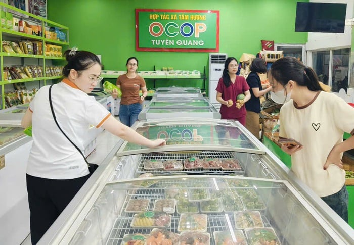 Tuyên Quang: 