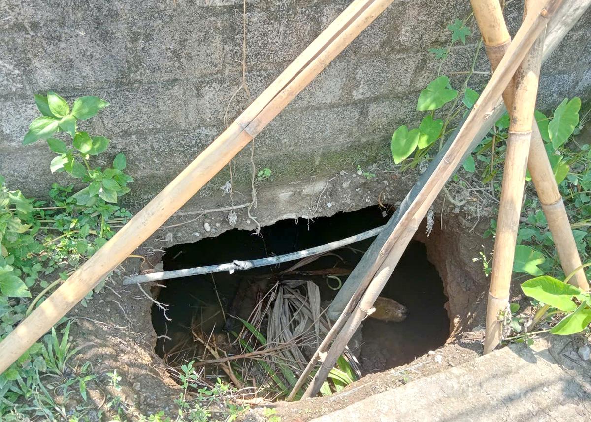 El sumidero tiene unos 5 metros de profundidad y casi 2 metros de ancho, está ubicado junto al camino en la aldea 4, comuna de Quang Binh, lo que representa un riesgo potencial para la seguridad de las personas.