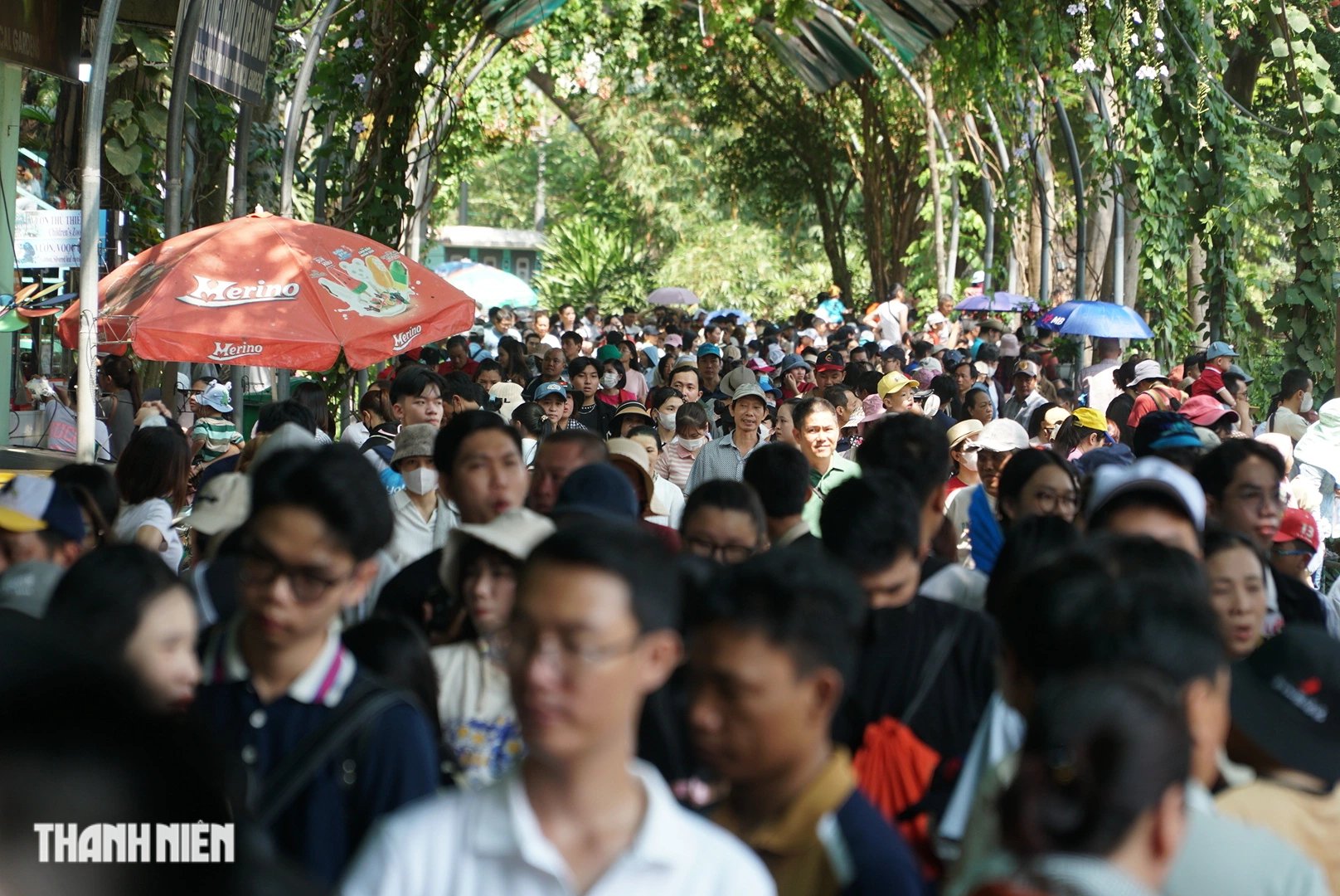 Hàng ngàn người ‘chen chân’ đến Thảo Cầm Viên trong ngày giỗ tổ Hùng Vương - Ảnh 5.