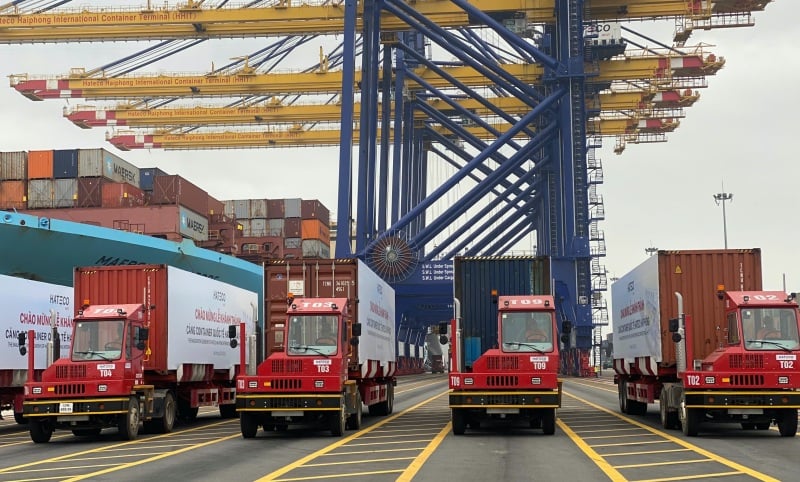 Terminals 5 and 6 have achieved an average handling capacity of 30 containers/hour.
