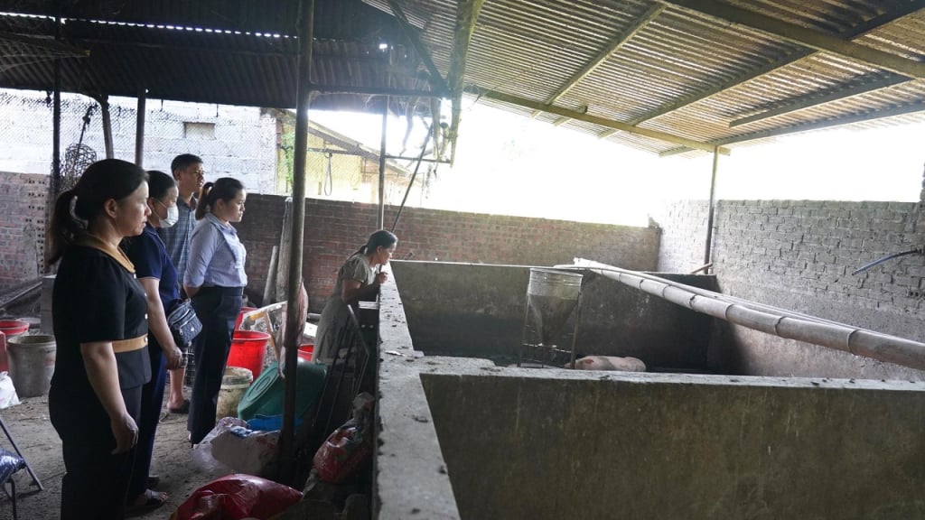 Ban chỉ đạo phòng, chống dịch bệnh động vật xã Nguyên Bình kiểm tra công tác phòng, chống dịch tả lợn Châu Phi tại xóm Nà Khoang.