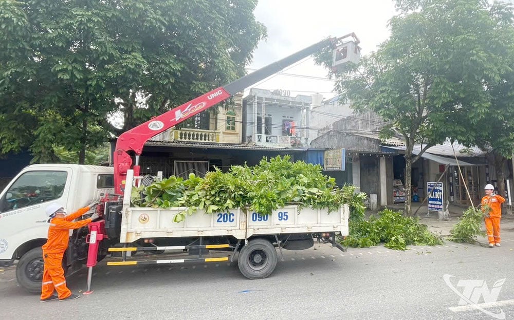  Việc cắt tỉa cây xanh được thực hiện thường xuyên nhằm đảm bảo an toàn lưới điện. 