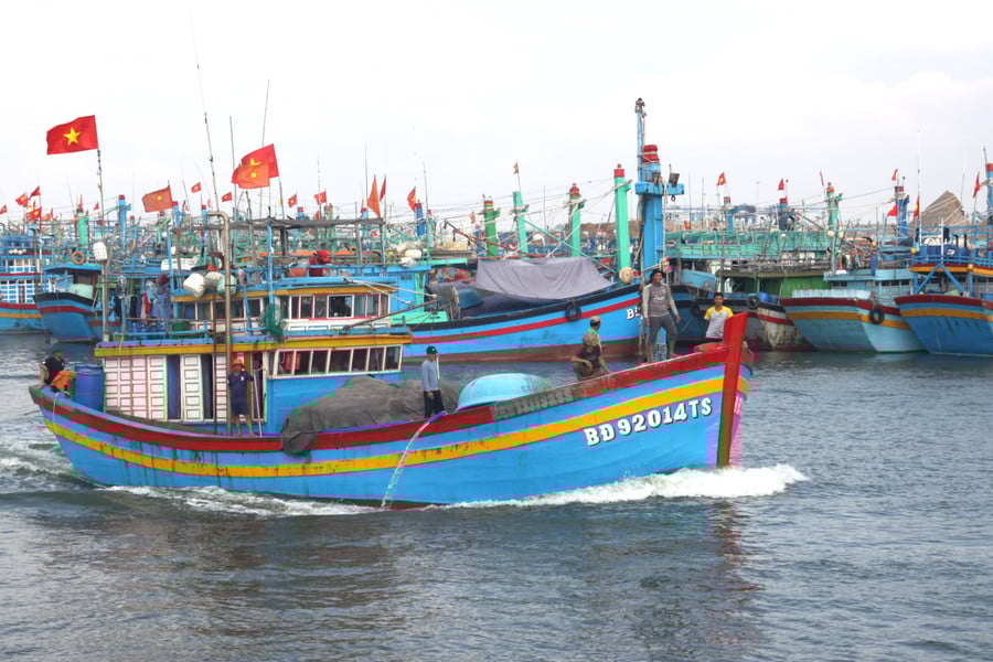 khu-vuc-neo-dau-tau-ca-tai-de-gi-hien-van-chua-dam-bao-an-toan-cho-tau-ca-cua-ngu-dan-trong-mua-mua-bao.jpg