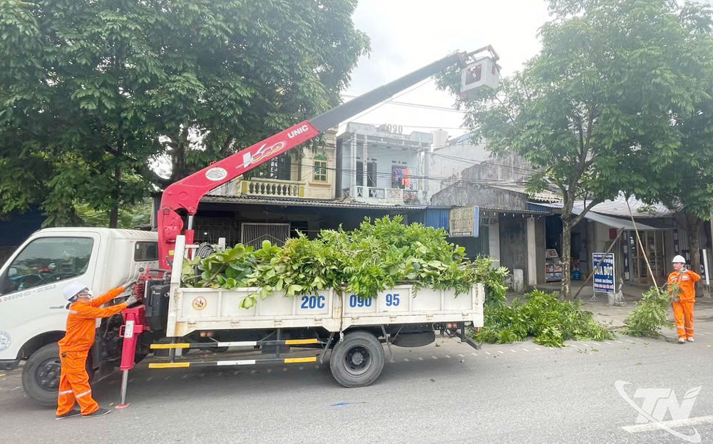 Thai Nguyen Regional Electricity: Ensuring stable grid operation