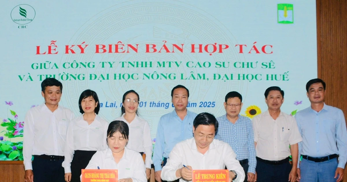 Công ty Cao su Chư Sê và Đại học Nông lâm Huế ký kết hợp tác phát triển nông nghiệp công nghệ cao