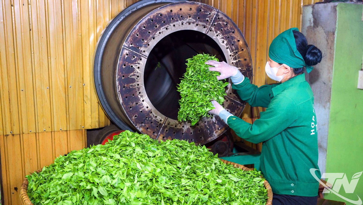 Sáng kiến nâng tầm sản phẩm chè