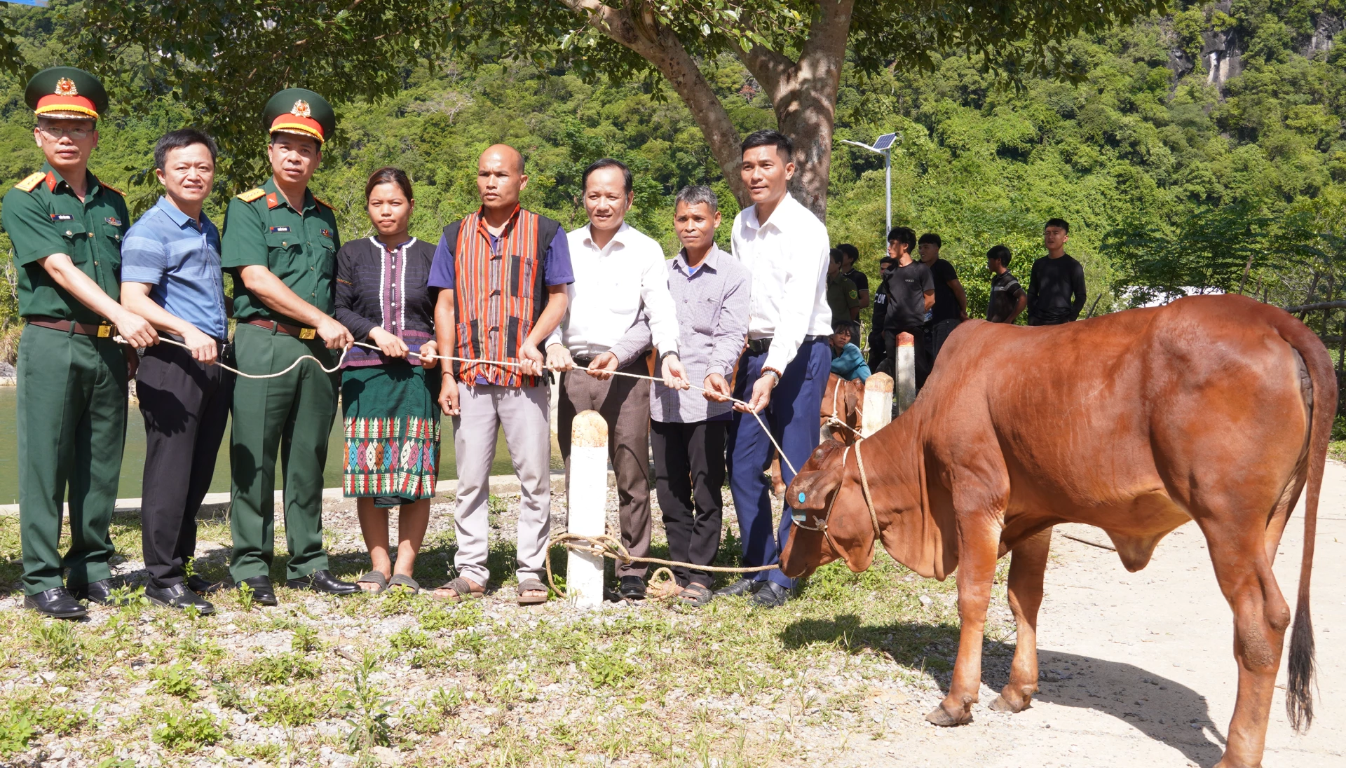 Spende von Zuchtkühen an Menschen im Coi-Cluster, Dorf Coi Da, Gemeinde Kim Ngan, Provinz Quang Tri.